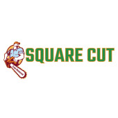 Square cut Directory submission