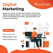 Drive Growth and ROI with Codiveo's Targeted SEO Services!
